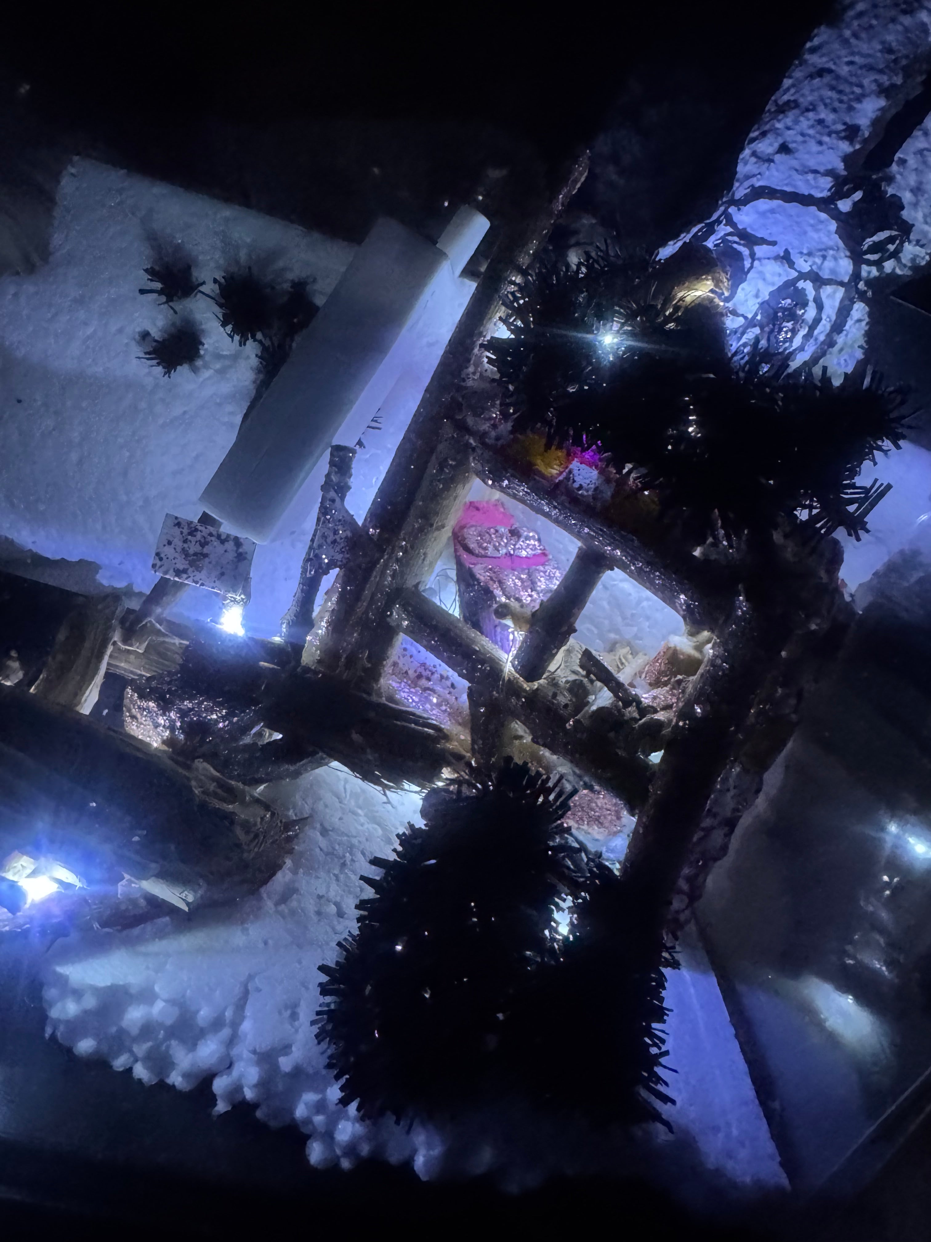 Labubu fairy house getaway miniature FREE SHIP