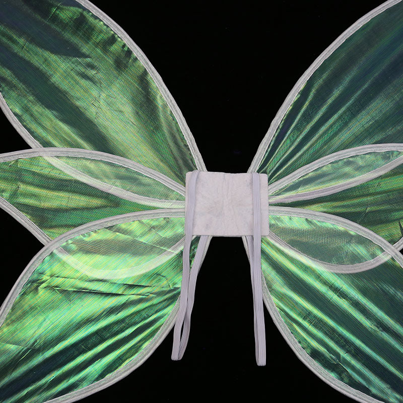Colorful Transparent Color Fairy Wings